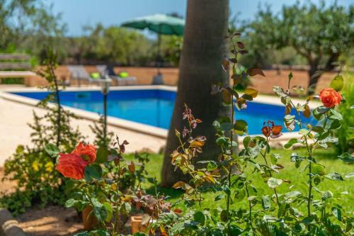 Villa Es Coco De Sa Mola