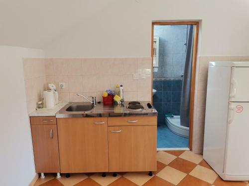 Apartmani Vinko