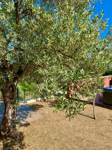 Villa Dream