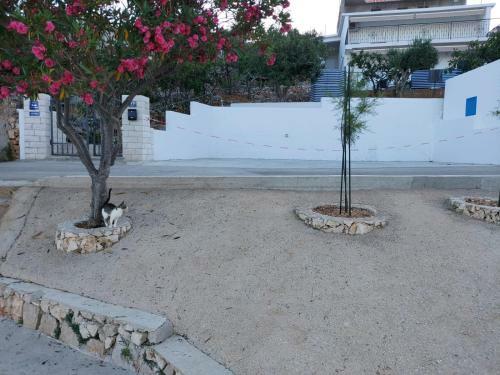 Apartment Astrid 5 M From Beach