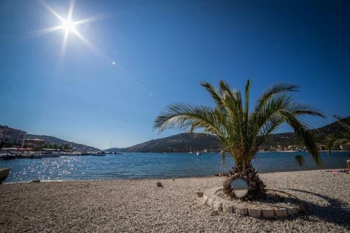 Apartment Astrid 5 M From Beach