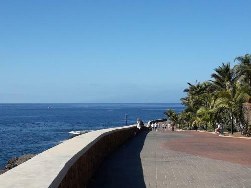 Apartamento Playa Paraiso Residence Del Sur