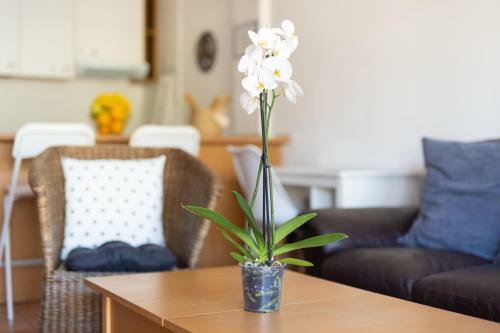 Villa Apartamento Paraiso I, Tenerife
