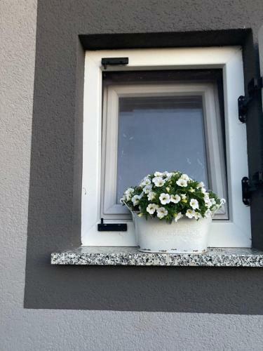 Apartman Vicinim Family Friendly