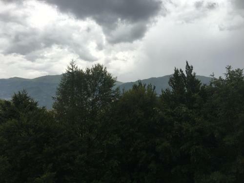 Apartamento Casa Neve