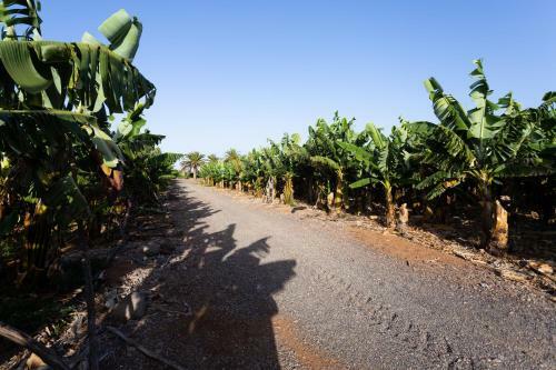 Agroturismo Casita 3, Caserio de Guaza