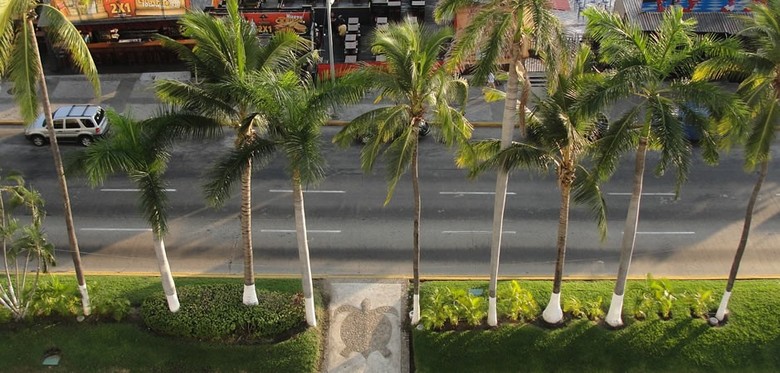 Acapulco Tortuga Hotel