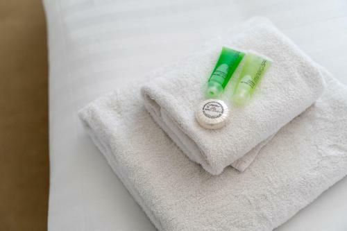 Parkhill Luxury Serviced Apartment - Kings Gate West End