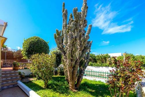Villa Con Piscina En Son Serra