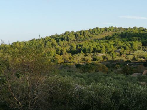 Vacation House Jela, Island Vis