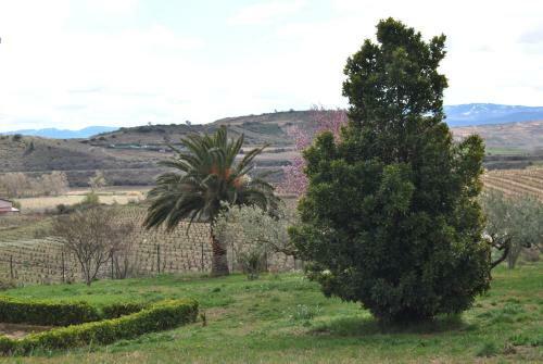 Agroturismo Casa Pichon Etxea