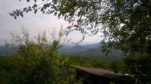Villa Holiday Home Vizinada