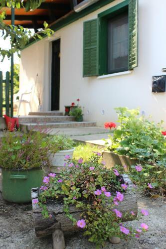Apartamento Patr�cia Pihen?h�z