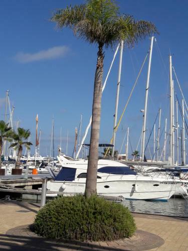 Apartamento Carolinas Aptmt Orihuela