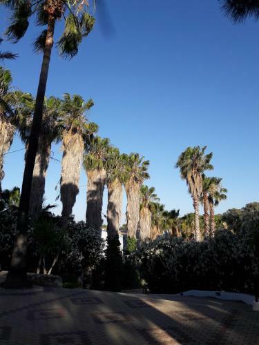 Apartamento Carolinas Aptmt Orihuela