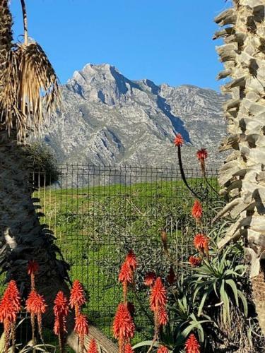 Apartamento Palmsea Marbella-estepona
