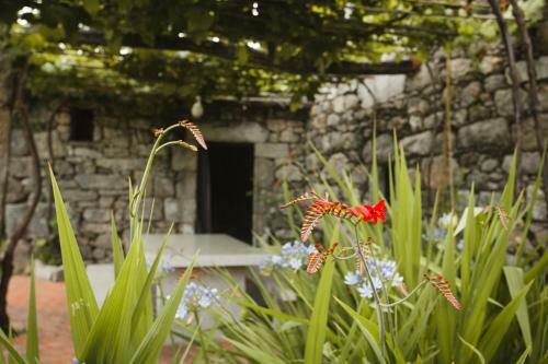 Agroturismo O Curralino