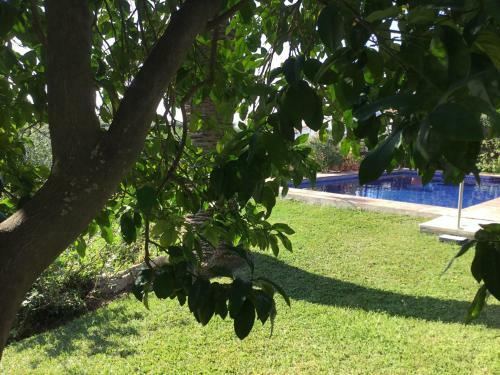 Bed & Breakfast Casa Bahia de Casares