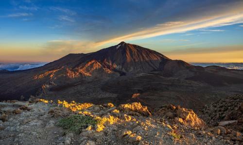 Casa Tajinastes Del Teide