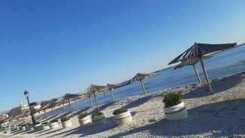 Apartmani Zarko