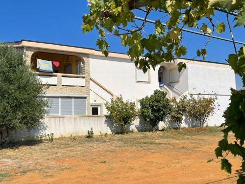 Apartements Delfin Vir