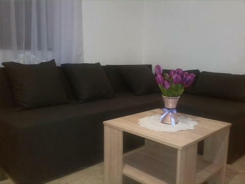 Apartman Boro?a