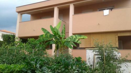Apartamentos Mario