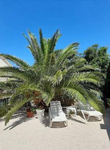 Apartamento Dospalmeras
