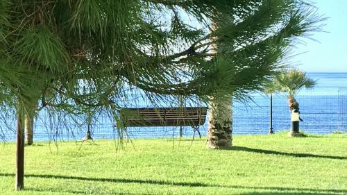 Mi Capricho A15 Beachfront Apartment