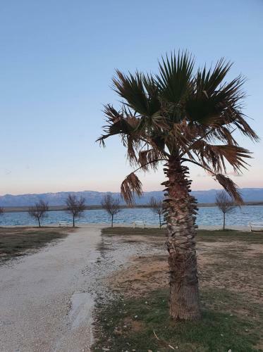 Apartmani Callista