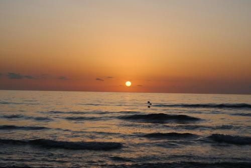 Apartamento Playa Gandia - Gandiazar 2