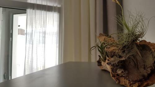 Apartamento Okeanos Comfortable 2 Bedrooms Lt2-ba