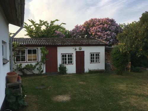 Hostal Cozy Guesthouse