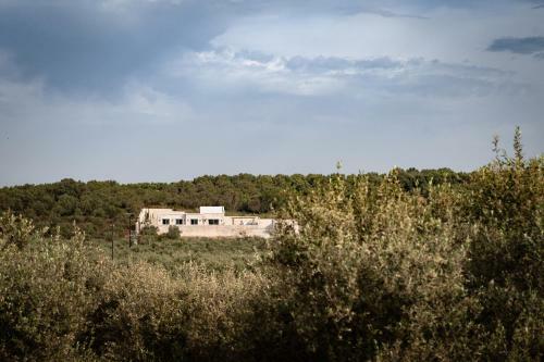 Ayali Villa, A Divine Luxury Homestay!