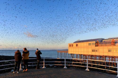 New Central Seafront Apartment- Stunning Sea Views