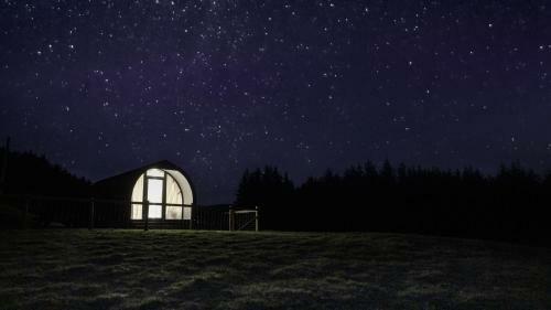 Forester's Retreat Glamping