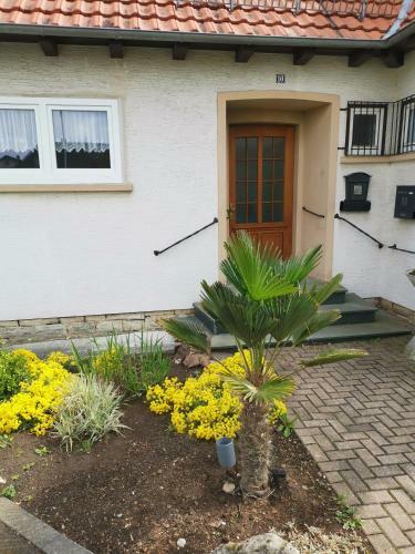 Apartamento Byjoe