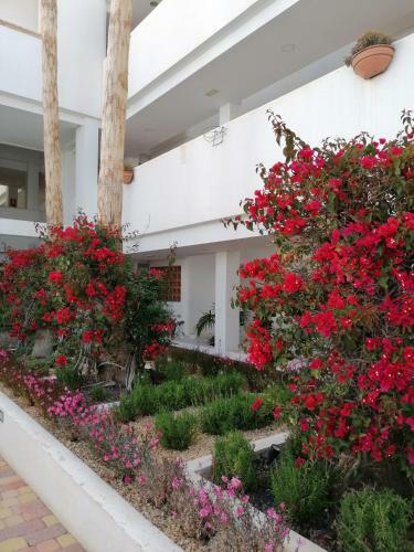 Apartamento Linnea Sol Casa Susana