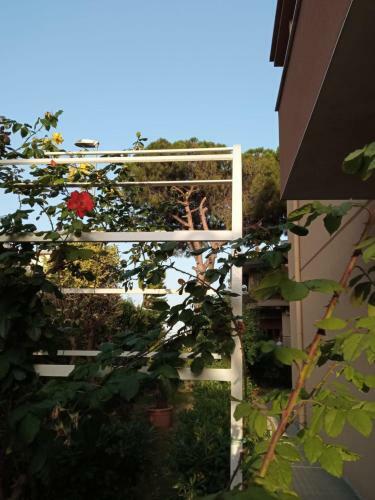 Apartamento Il Giardino Sulla Scogliera