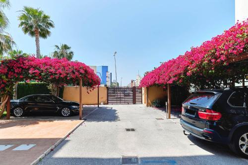 Apartment De La Costa 1