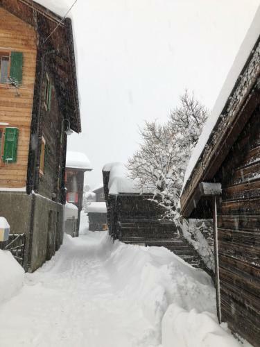 Apartamento Alpenchalet Trutmundi Undri