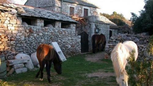 Holiday Home Jasmina