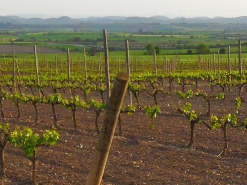 Bed & Breakfast La Casa Dels Ocells
