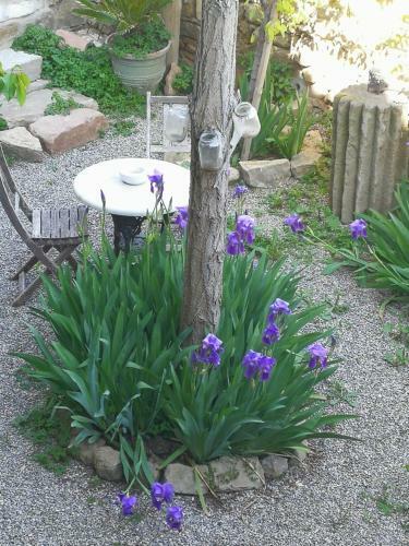 Bed & Breakfast La Casa Dels Ocells