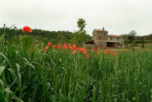 Agroturismo Casa Cabots