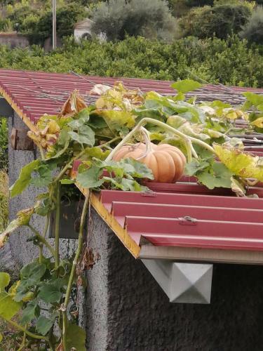 Casa Rurale Boschetto