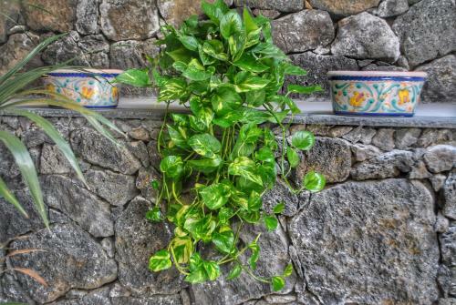 Villa Dedalisa By Holidayngo