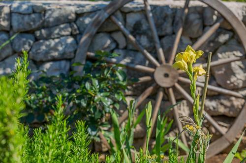 Villa Rusticale With Private Pool