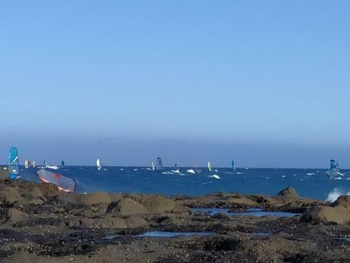 Apartamento Seagull Estudios