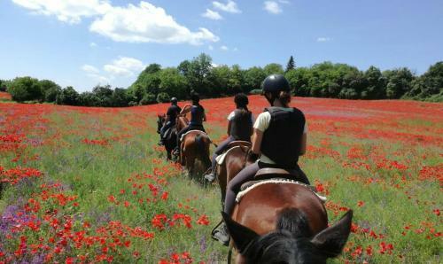 Agroturismo San Filippo